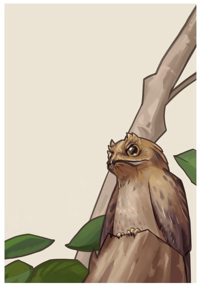 Check out this potoo.
I recently discovered this intriguing creature that inhabits Central and South America. They have perfected the art of disguise and can seamlessly blend into broken branches to avoid threats.
Hope you like it!
.
#illusrtation #conceptart #bird #potoo
