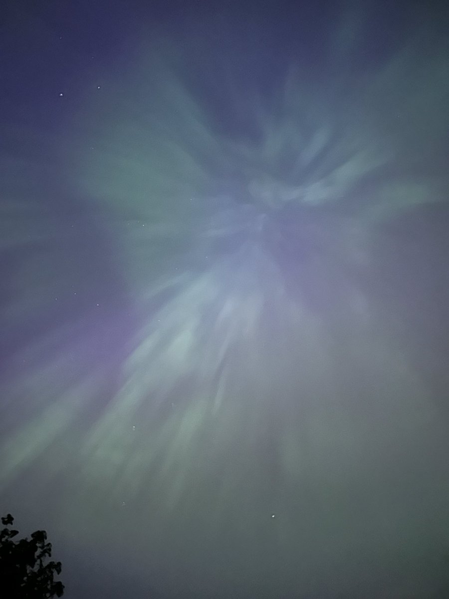 Gemma Burnside tweet media