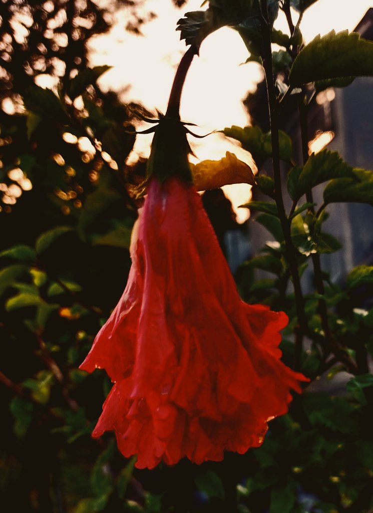 VWC_Writes's tweet photo. "You won't find her in the open wound, nor any masterpiece of an earthly summer..."
#predawn #talisman #urbania #postworld #WritingCommunity https://t.co/Sdo6VPR0Xj