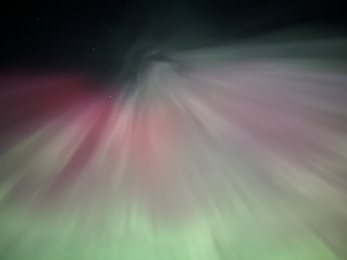 AlypiusC's tweet image. Finally got what I came to see 

Scobey, MT