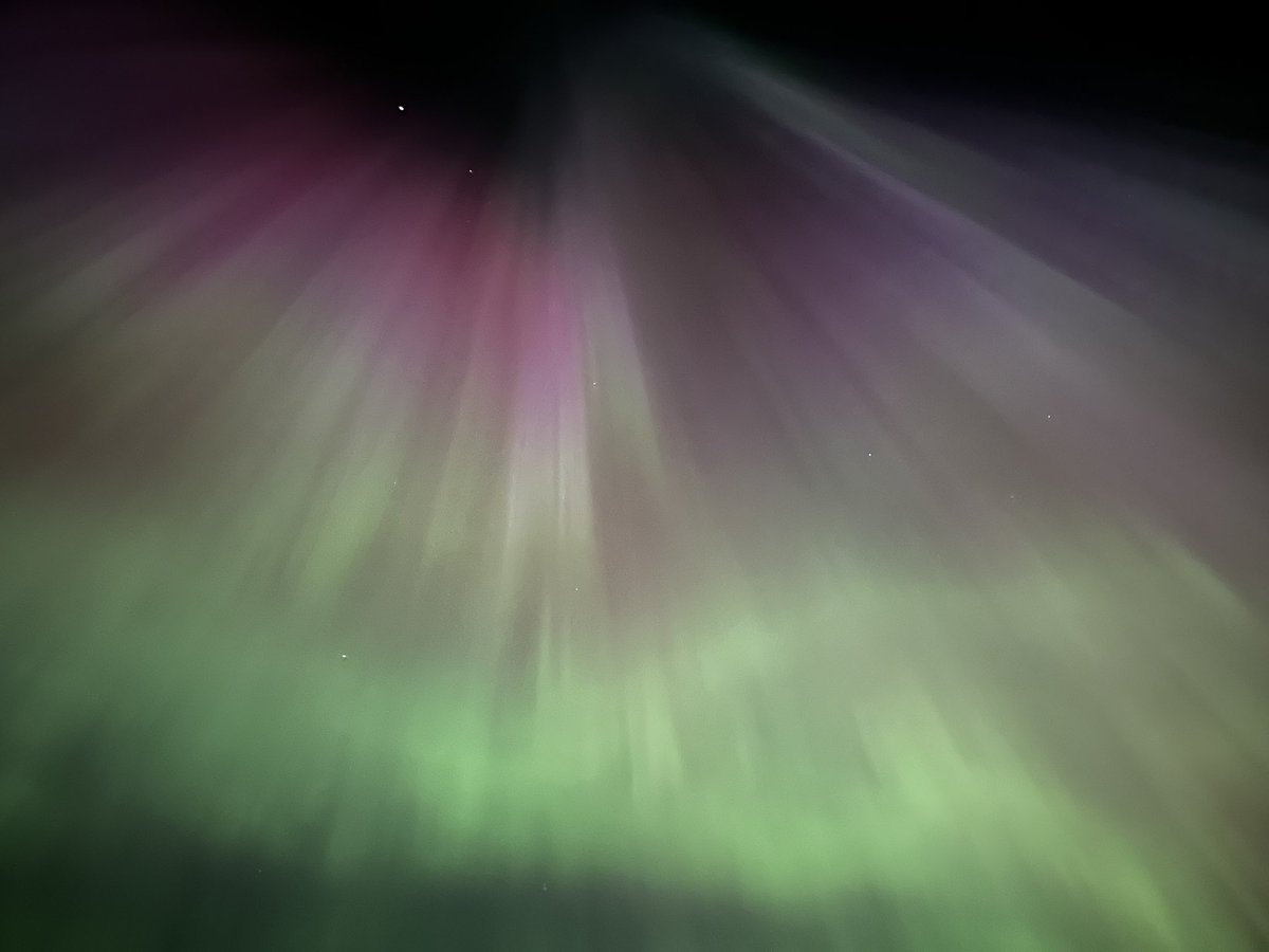 AlypiusC's tweet image. Finally got what I came to see 

Scobey, MT