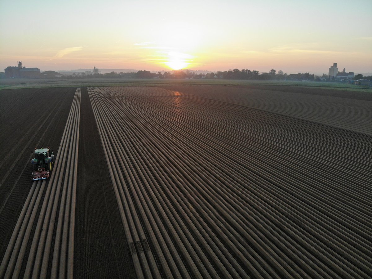 Florian Strube tweet media