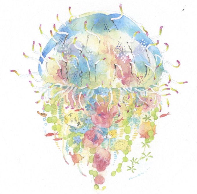 「coral jellyfish」 illustration images(Latest)
