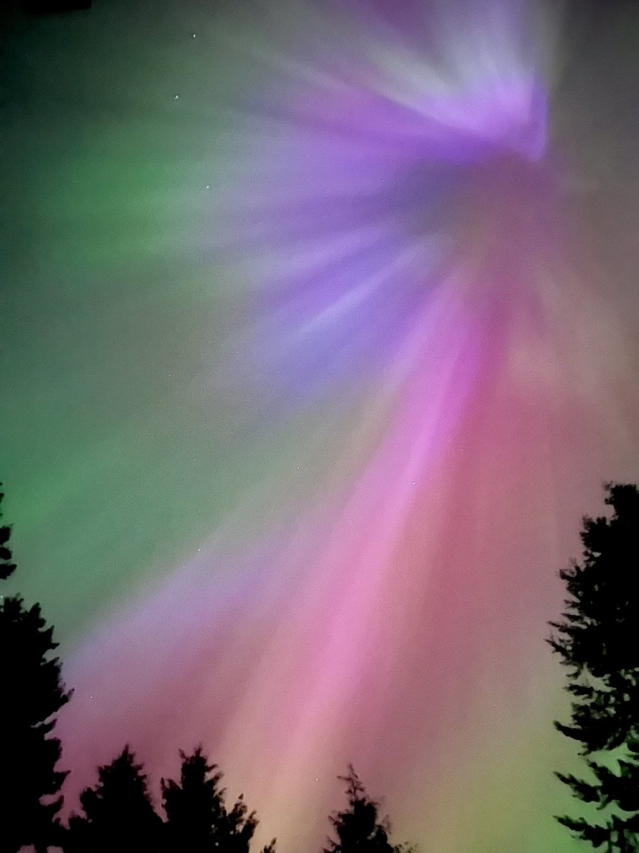 Got a lot of pictures of the #Auroraborealis tonight. This is my favorite. Will post a few more tomorrow. #Courtenay #Comox