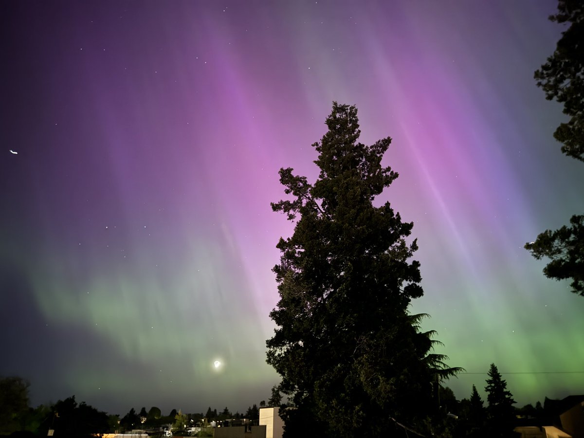 Prof. Emily Levesque 🤓✨🔭📚 tweet media