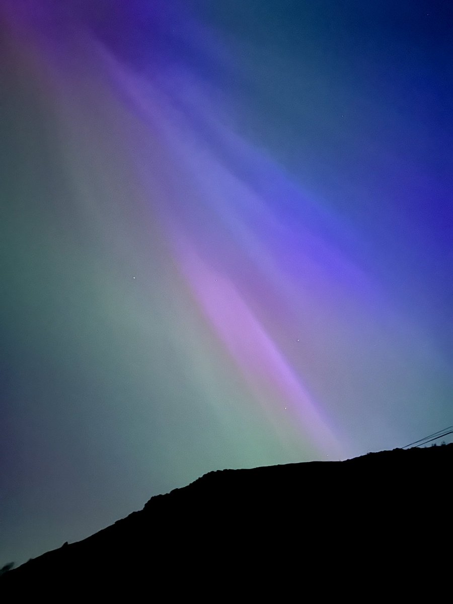 Stacey MacNaught tweet media