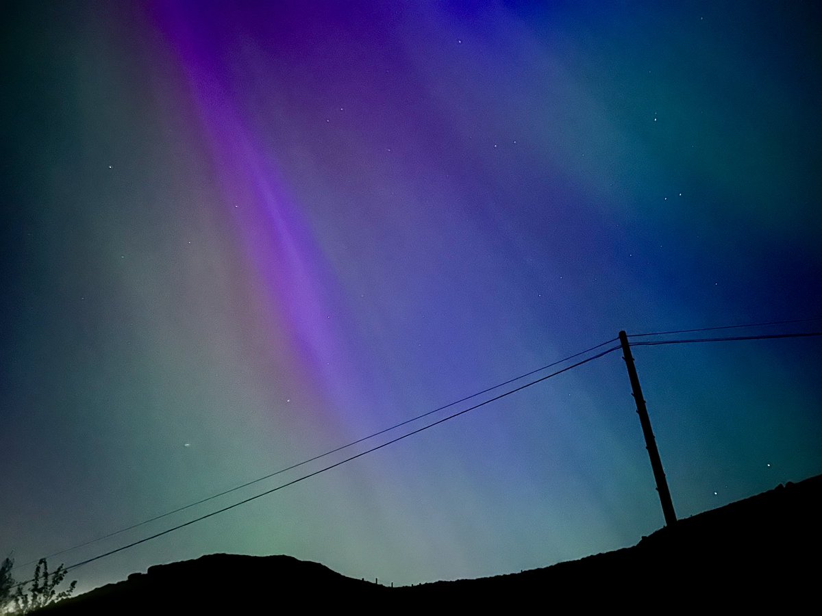 Stacey MacNaught tweet media