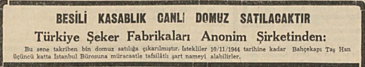 Türkiye Şeker Fabrikaları kâr etmenin yolunu bulmuş! Canlı DOMUZ satışına başlamış! 27 Ekim 1944 Cumhuriyet