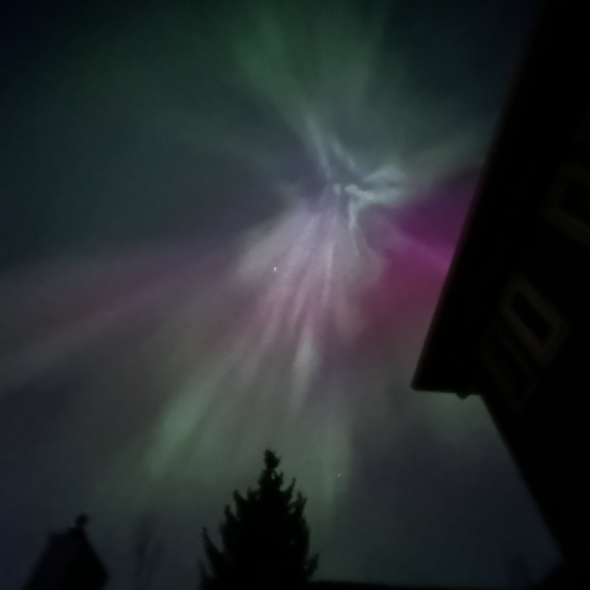 W O W ! I had to share! #YYC #NorthernLights