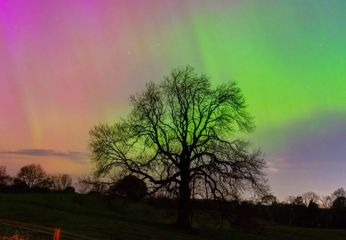My first aurora last night outside Omagh! What a display! @angie_weather @WeatherCee @bbcniweather @Louise_utv @barrabest @WeatherAisling #Aurora #northenlights #Auroraborealis