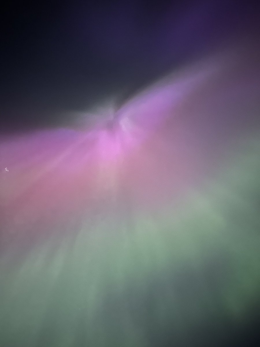 Faryar Darvishi tweet media