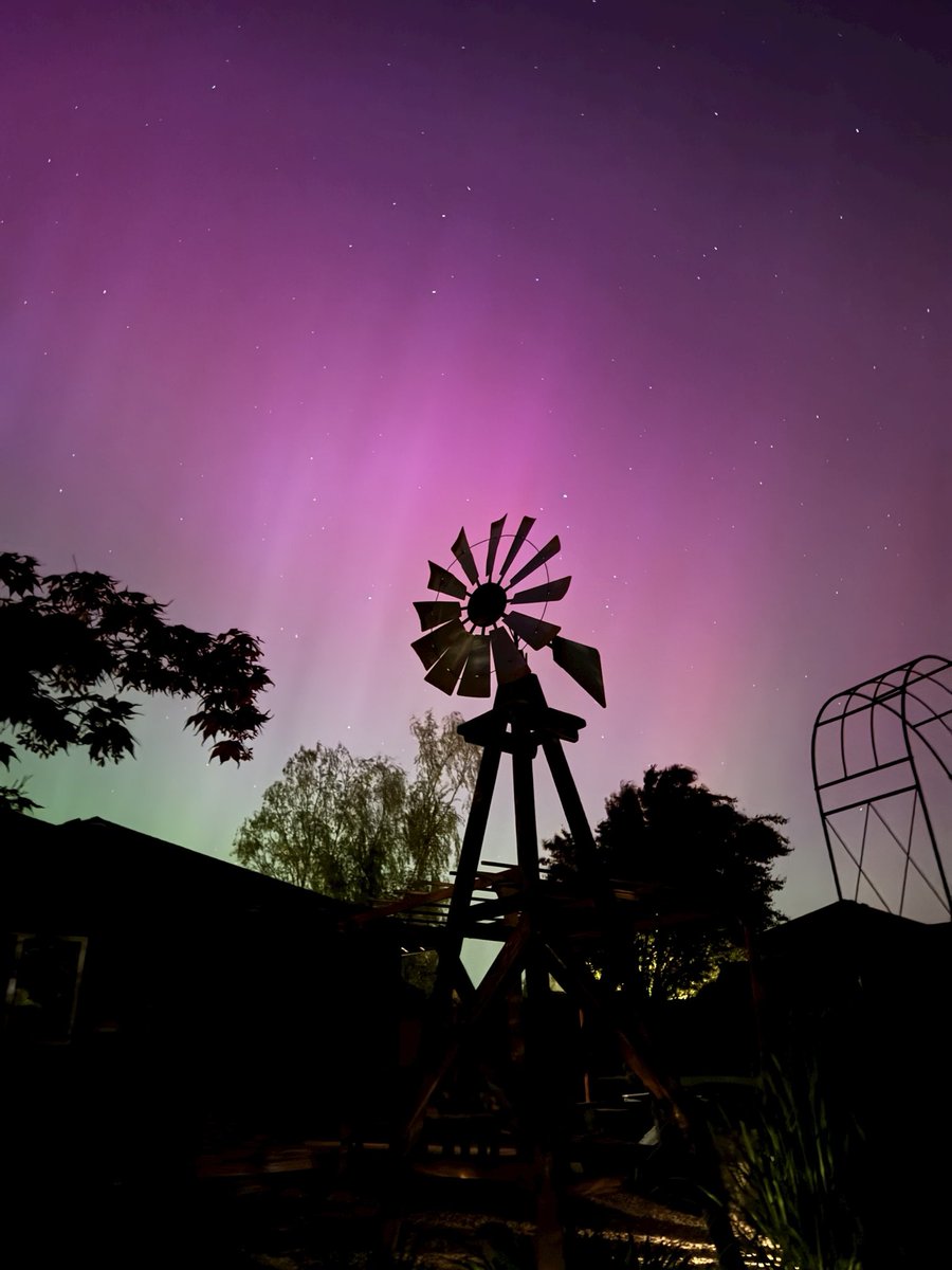 Karina Tobin tweet media