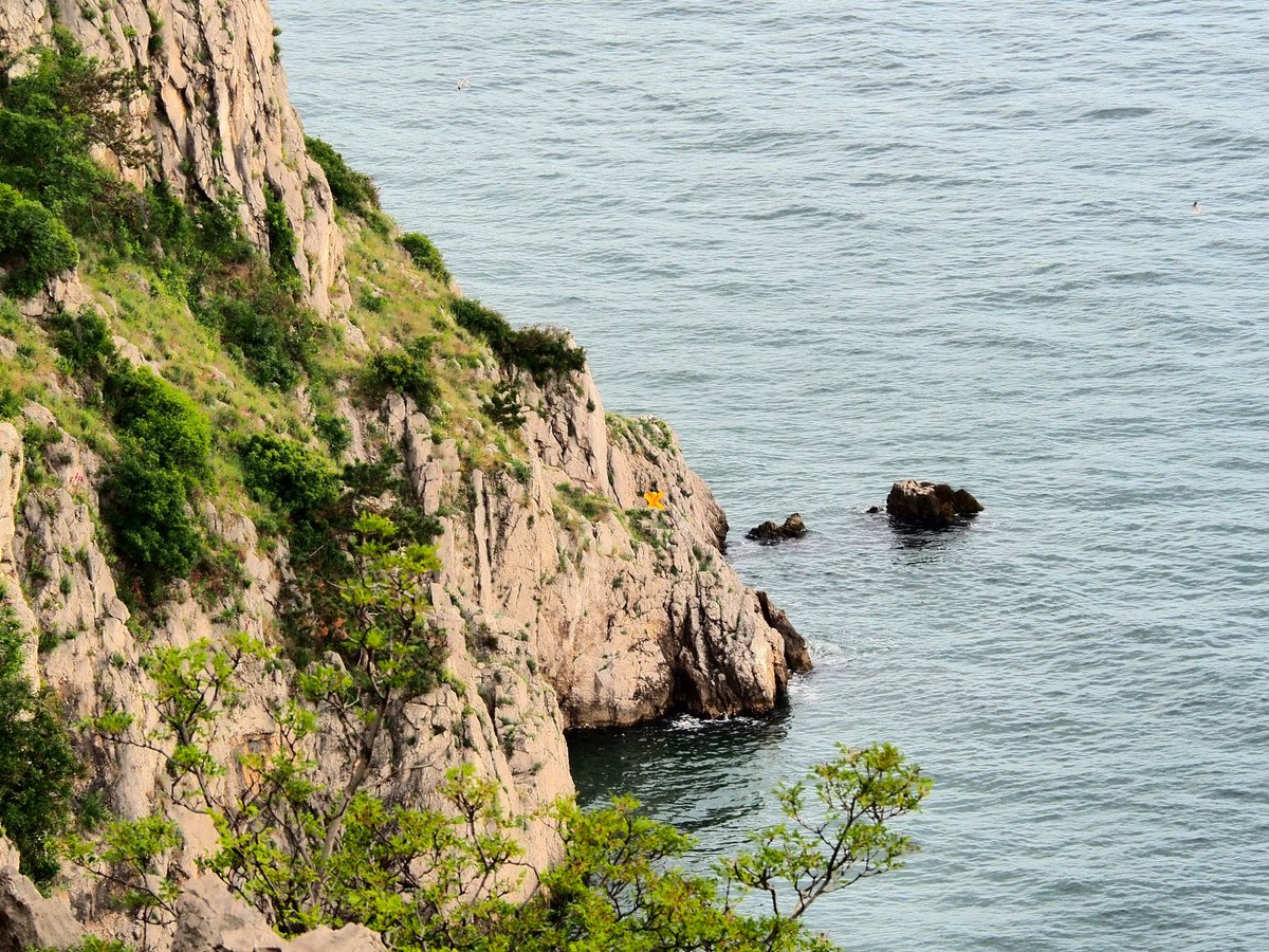 AMP MIRAMARE tweet media