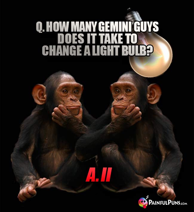 PainfulPunz's tweet image. Q. How many Geminis does it take to change a light bulb?
A. Two, but it will take all week.

Q. How many cheating husbands does it take to screw in a light bulb? 
A. None. Cheating husbands screw in motels.
#gemini #lightbulb #humor