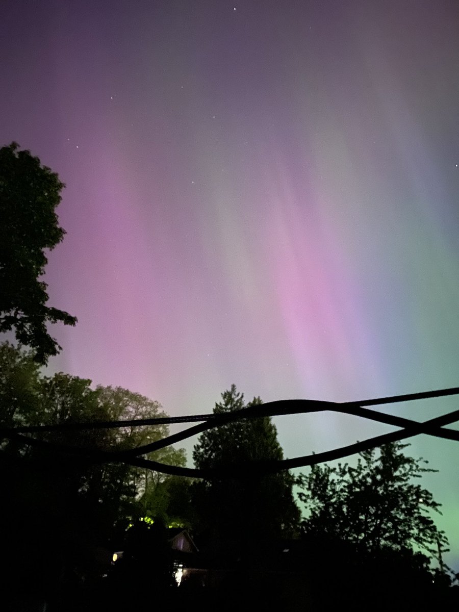 ABSOLUTELY AMAZINGPANTS!