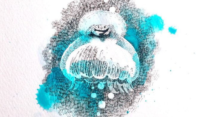 「jellyfish solo」 illustration images(Latest)