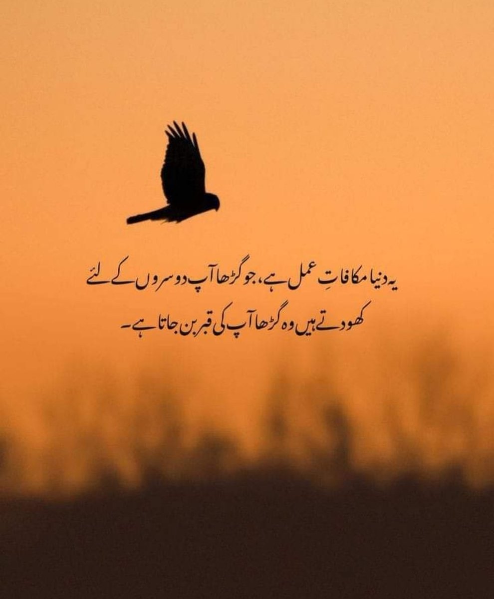 Beshak 💯
Have a nice day 😇

#Tipoftheday
