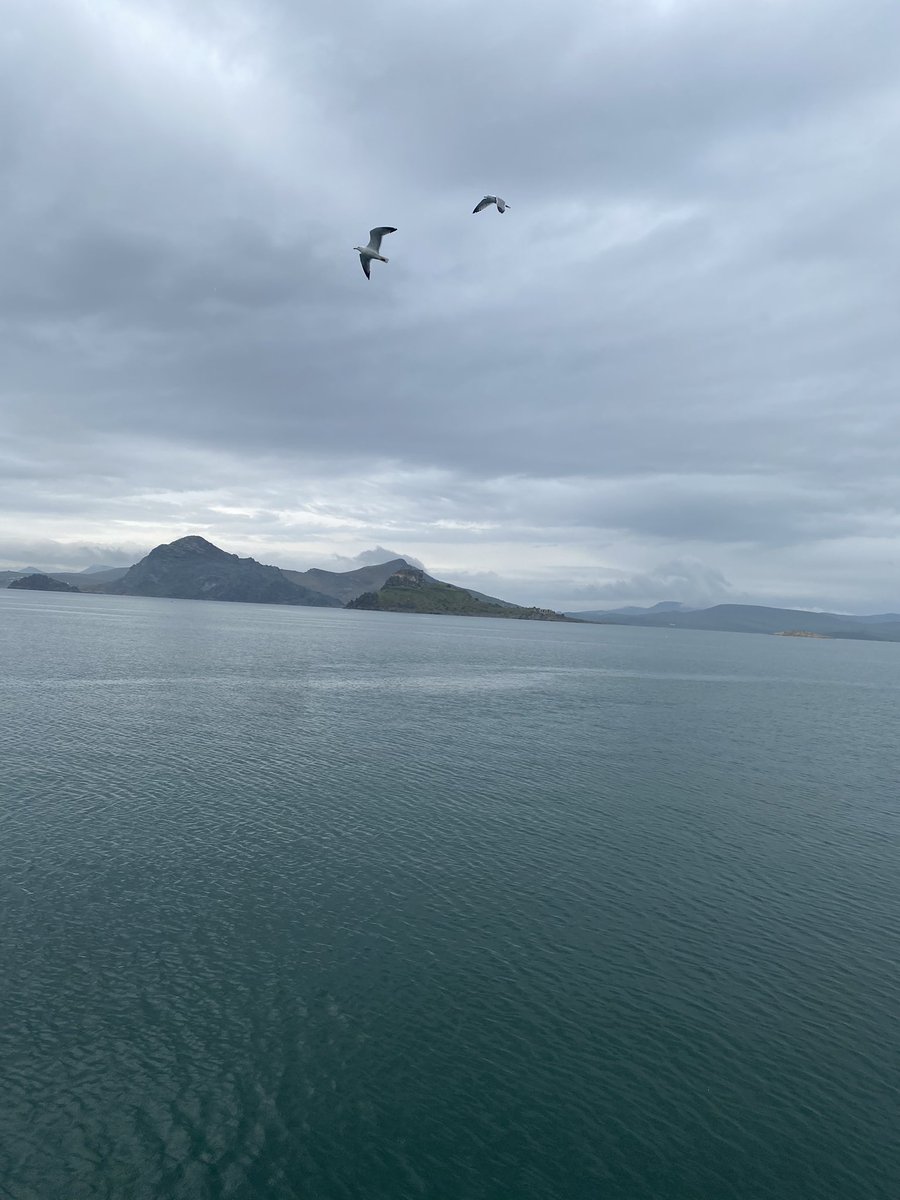Süreci değiştiremiyorsan bakışını değiştir her şeyin nasıl yerine oturduğunu göreceksin 🤩😍