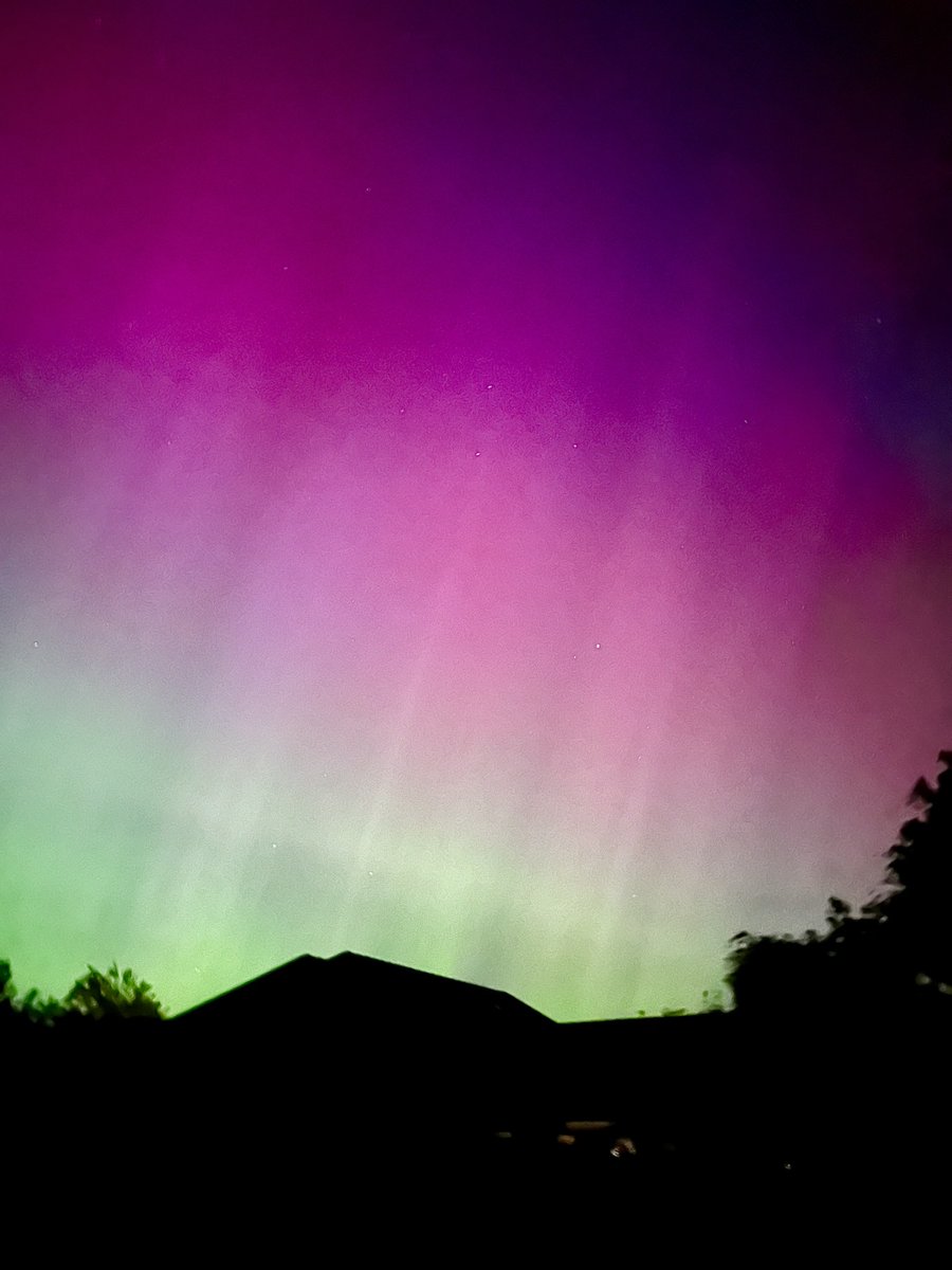 Nancy D. Brown tweet media