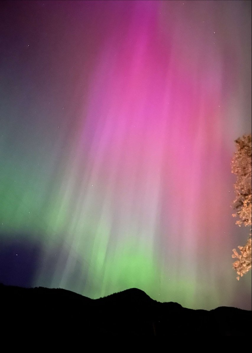 MaidMoth's tweet image. ✨MOTHS FIRST NORTHERN LIGHTS ✨