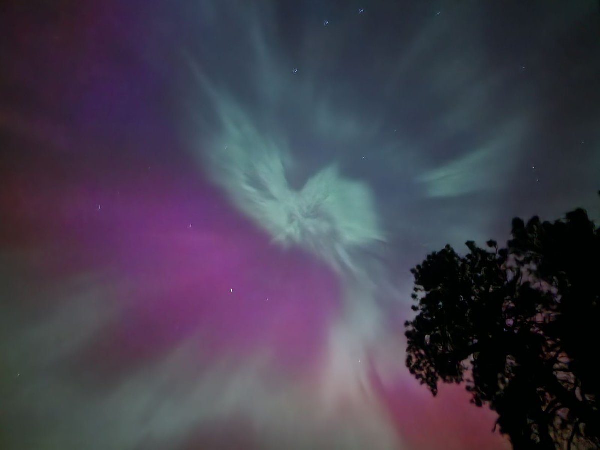 MaidMoth's tweet image. ✨MOTHS FIRST NORTHERN LIGHTS ✨