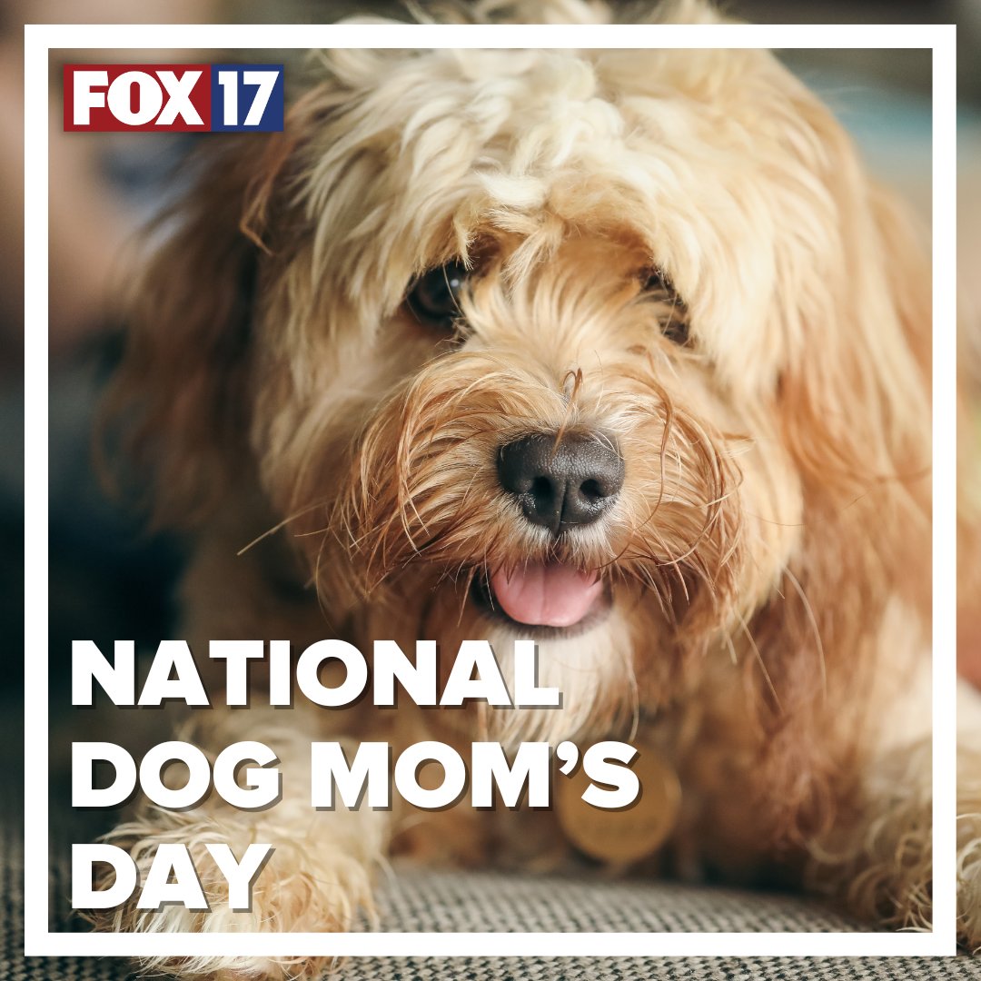 This one's for all the dog moms out there. 🐶 Post photos of your fur babies in the comments!