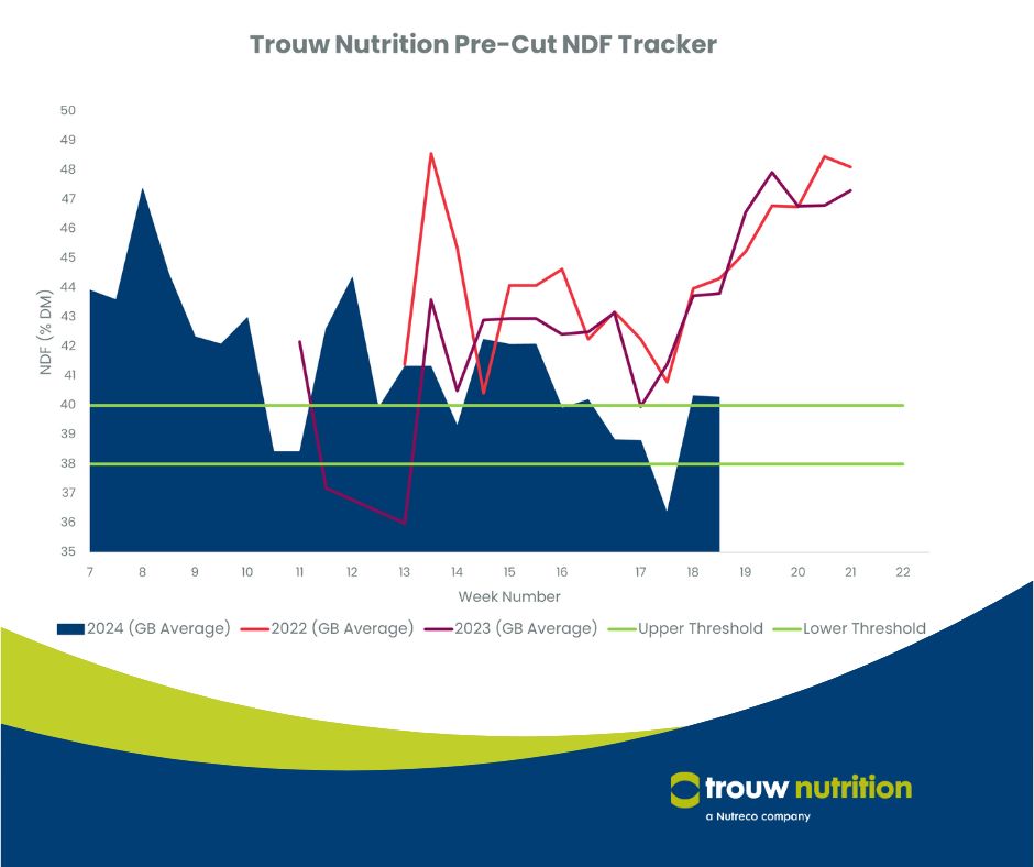 UK average NDF levels are very similar to the beginning of week at 40.28% DM, just sitting outside of the target of 38-40% DM. Full report ➡️ trouwntr.tn/2zh GrassWatch subscription info ➡️ trouwntr.tn/2zi #TrouwNutrition #PreCutTracker #GrassWatch