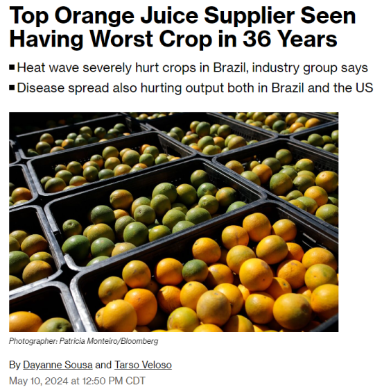 Brazil, the world's largest Orange Juice exporter, is expected to have its worst crop in 36 years 🍊