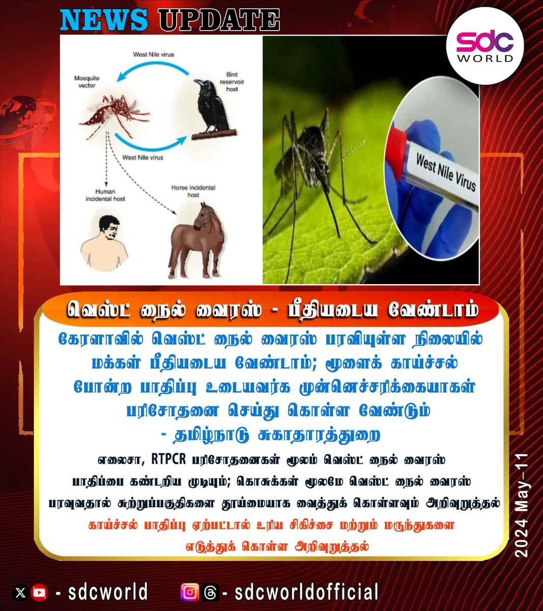 வெஸ்ட் நைல் வைரஸ் -மக்களுக்கு பொது சுகாதாரத்துறை அறிவுறுத்தல் #vírus #westnilevirus #newsupdate #sdcworld