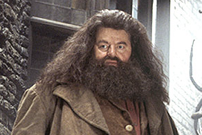 Faruk Ilkhan tweet media