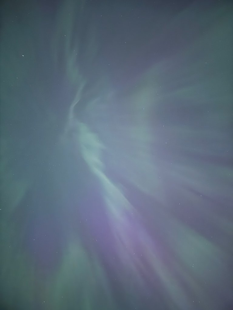 I've lived in Seattle for almost 30 years. I've never seen the Northern Lights like this before.