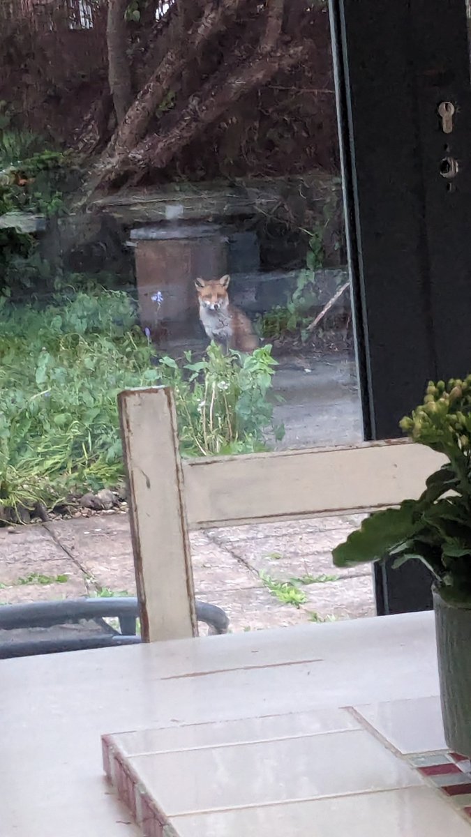 Benjamin Hart (@hartben73) on Twitter photo 