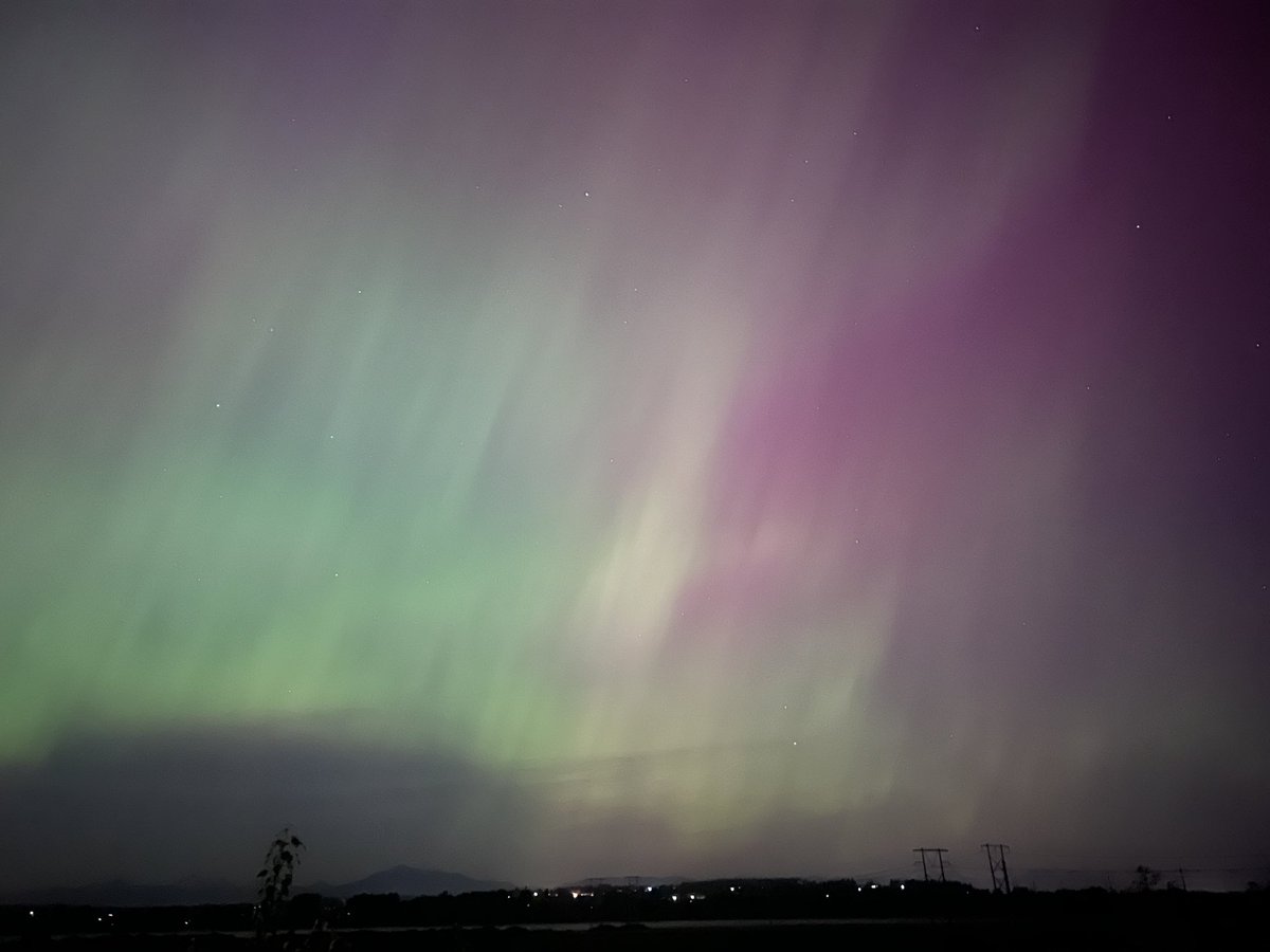 Edify Studios tweet media