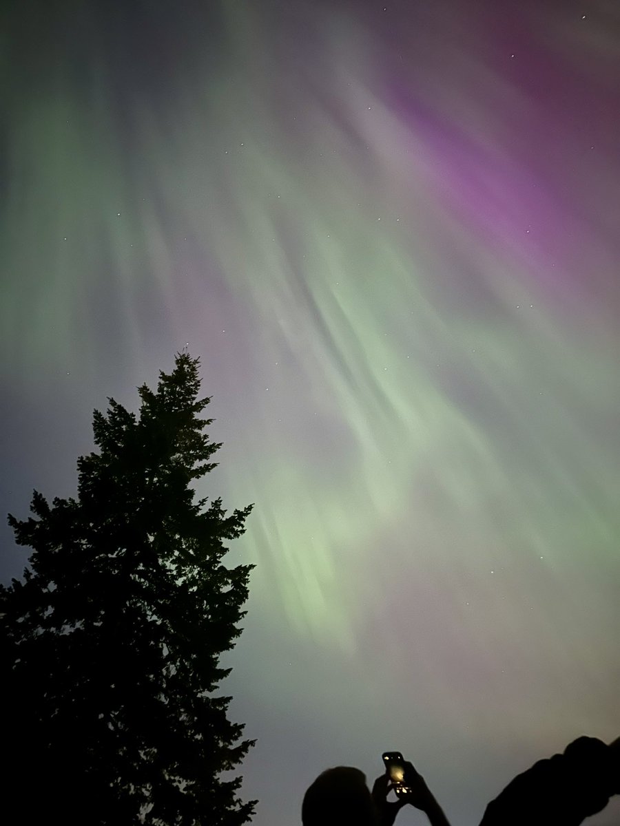 What a celestial show right out my back door! #seattle #NorthernLights