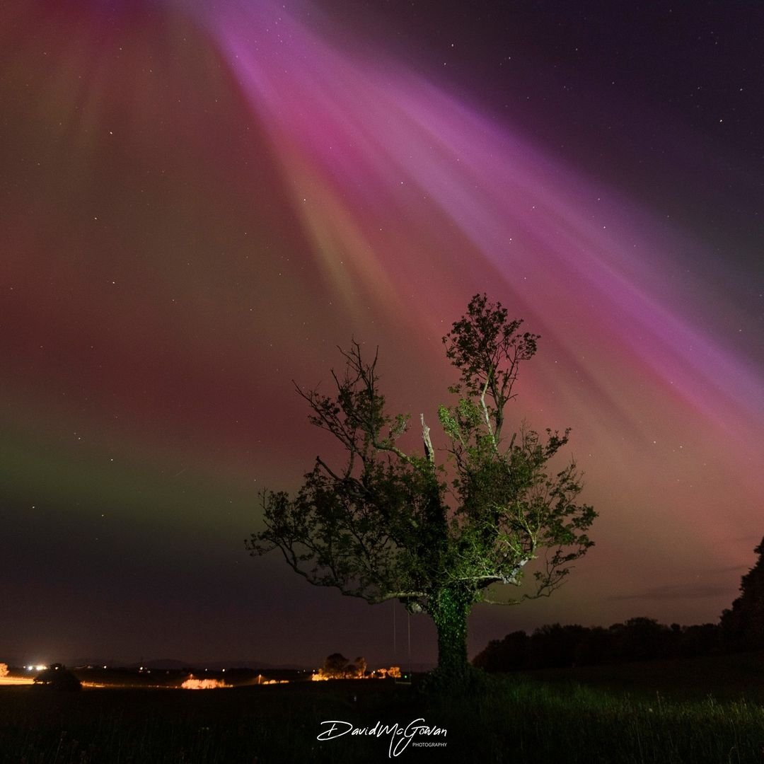Wow! What a night sky that was last night... did you see it? ✨💕💚

📸 Incredible photos by David McGowan Photography
📍 Oranmore, Galway

#NorthernLights #AuroraBorealis #Spectacular #Incredible #NightSky #RinvilleCastle #Rinville #Oranmore #Galway #Ireland #VisitGalway