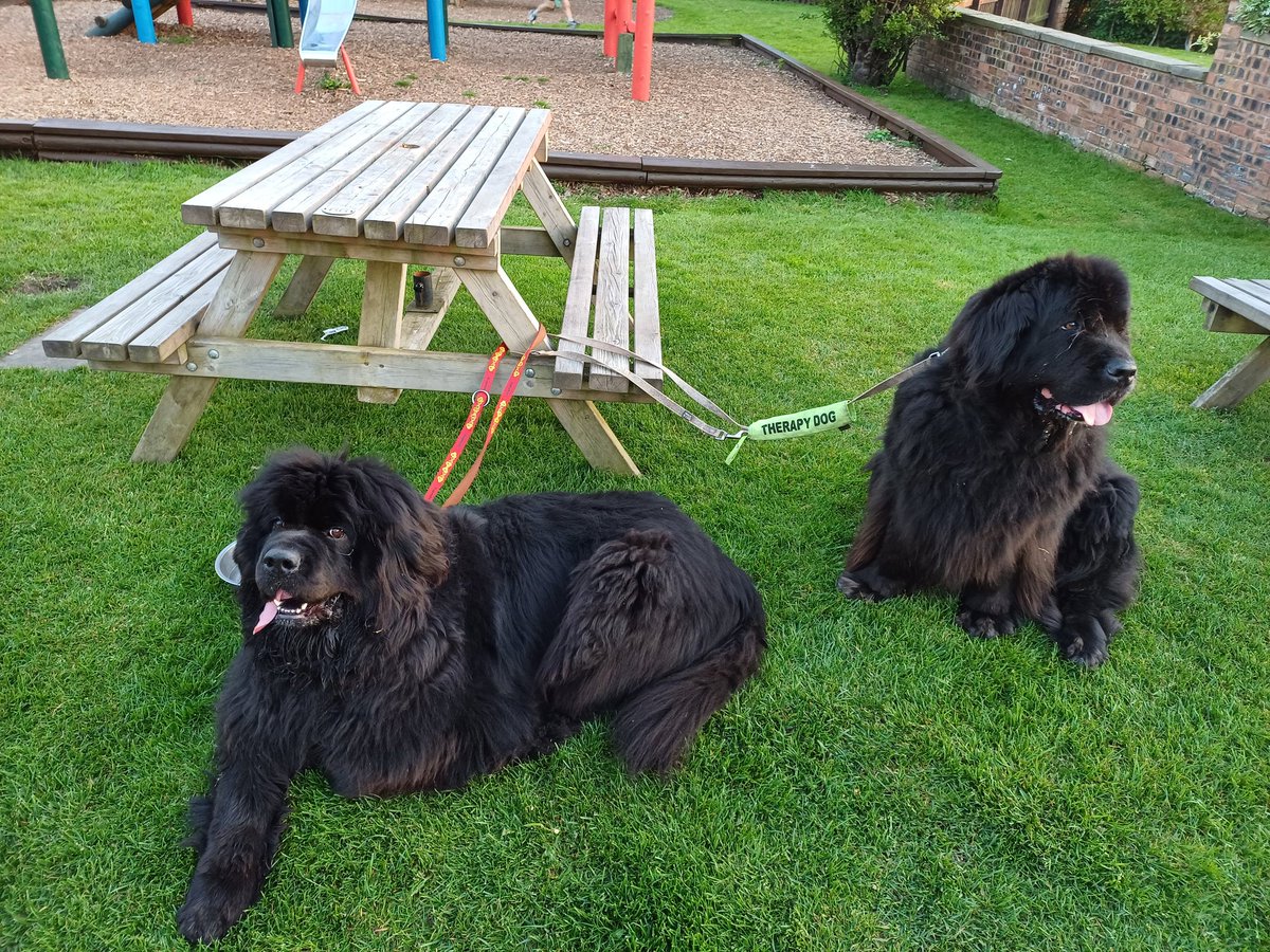 Lovely walk by the River and a quick pop to #LeighArms #ActonBridge #Cheshire last night, lots of snuggles from staff and guests 😍🐕🐕😍 #dogsoftwitter #dogs #dogsofx #nature #England #Britishcountryside