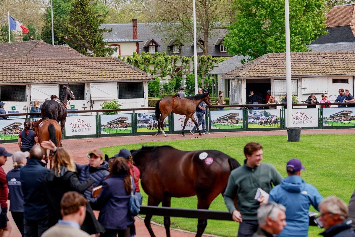 InfoArqana's tweet photo. 🐎𝑩𝑹𝑬𝑬𝒁𝑬 𝑼𝑷🐎

🚨The Breeze Up sale starts in a few minutes!

🎥Live sale: https://t.co/mZWf0Baq0K
📙Catalogue: https://t.co/tmyElO6ELg
💻Register to bid: https://t.co/4MbOqiSbKn

📸 @zuzanna_lupa https://t.co/iOo5WgL5Lh