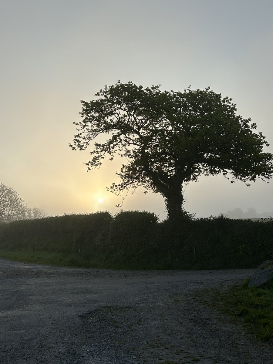 #day132 of #200daysofwalking #darknessintolight2024 #DIL2024