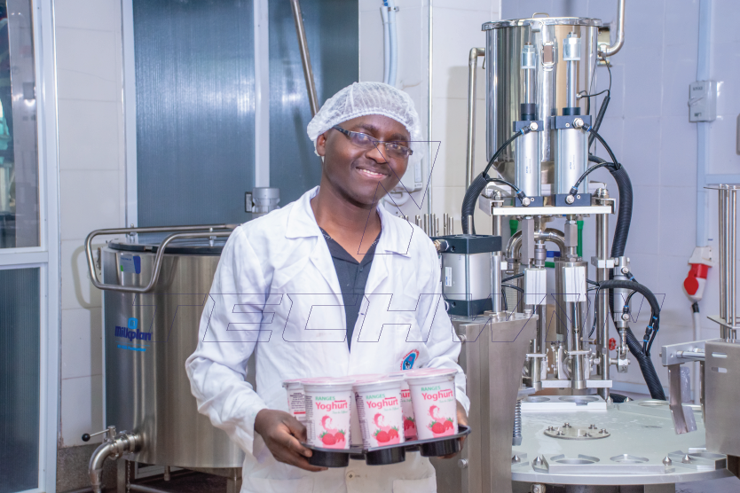 Techwin_Limited's tweet photo. Call Techwin Limited at 0743793878 for commercial yoghurt processing and packaging equipment. We also offer installation and maintenance services to ensure smooth operations.
#dairymilk #batchpastuerizers #dairyfarming #dairy #agribusinesses #techwinlimited #techwinlimitedcares https://t.co/97K9et9Xs9