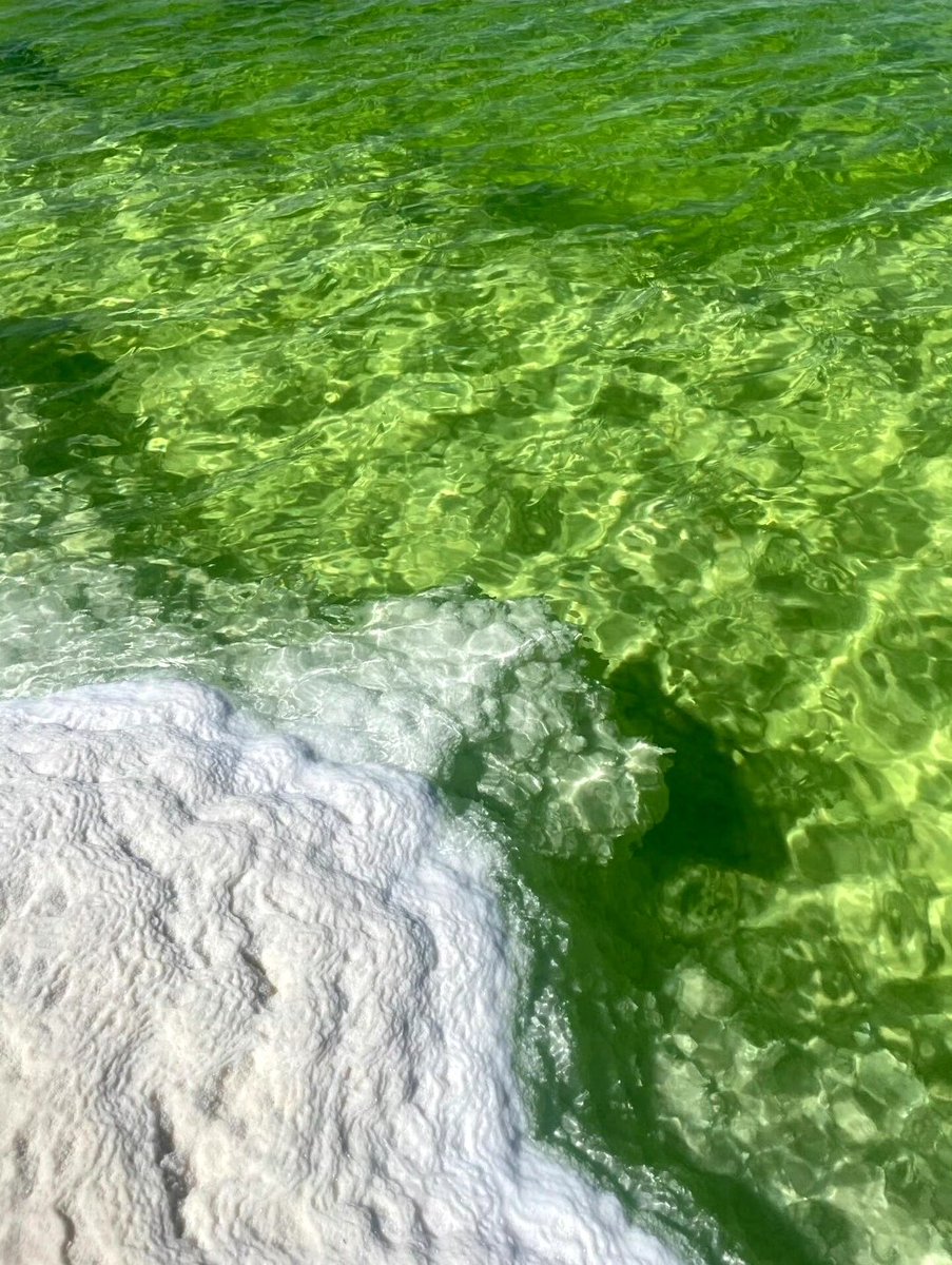 察尔汗盐湖 像一杯打翻的苹果汁