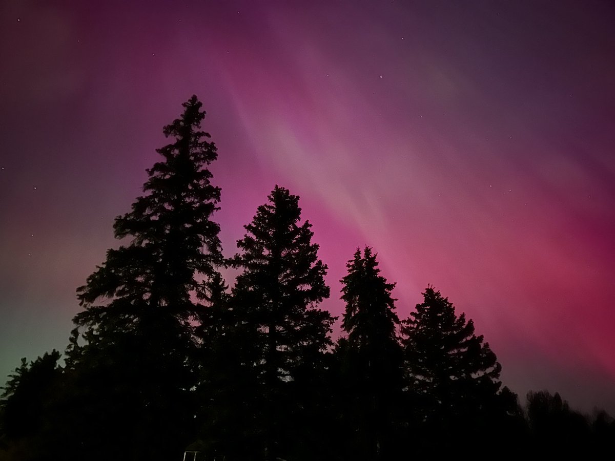 Lisa_Ont's tweet image. Northern Lights at our farm in Southern Ontario #Auroraborealis #NorthernLights