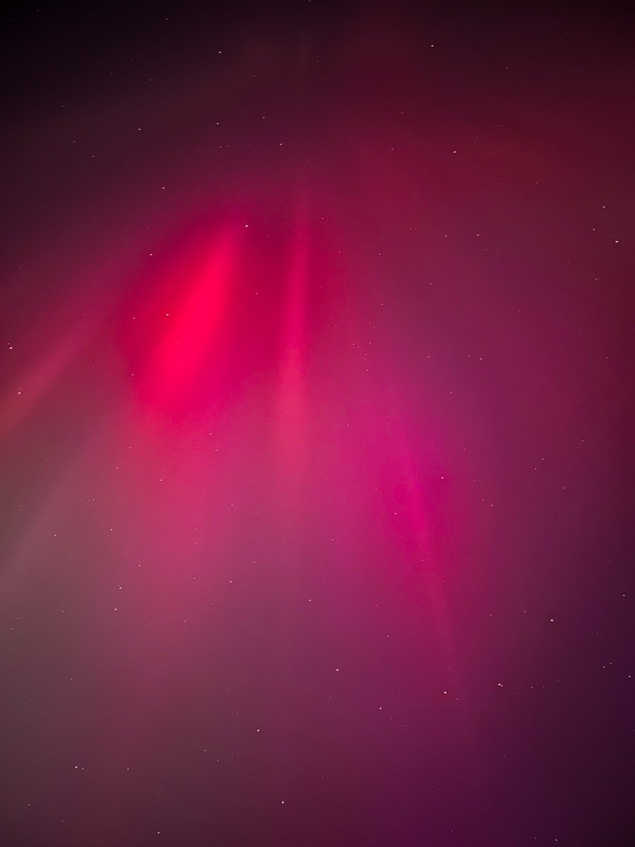 Nico Wells ⛰️ tweet media