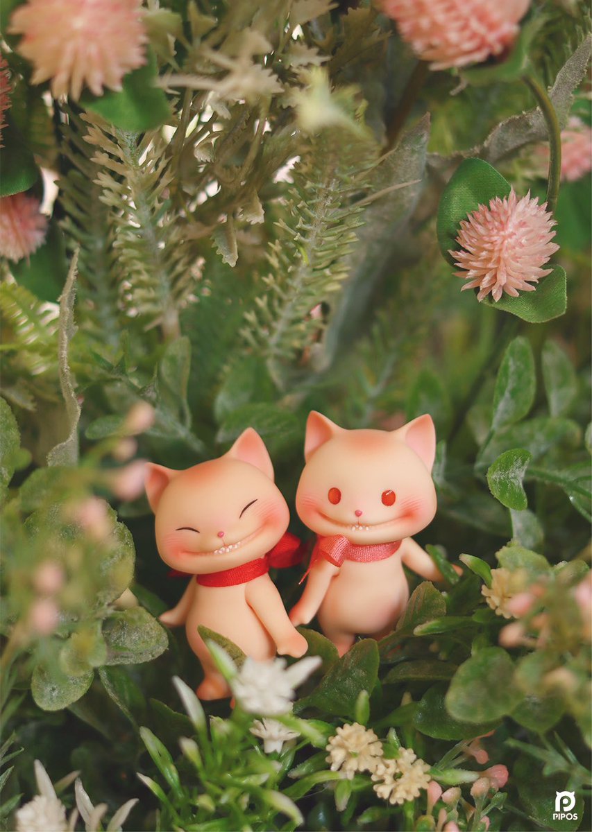 PIPOSDOLL 피포스돌 tweet media