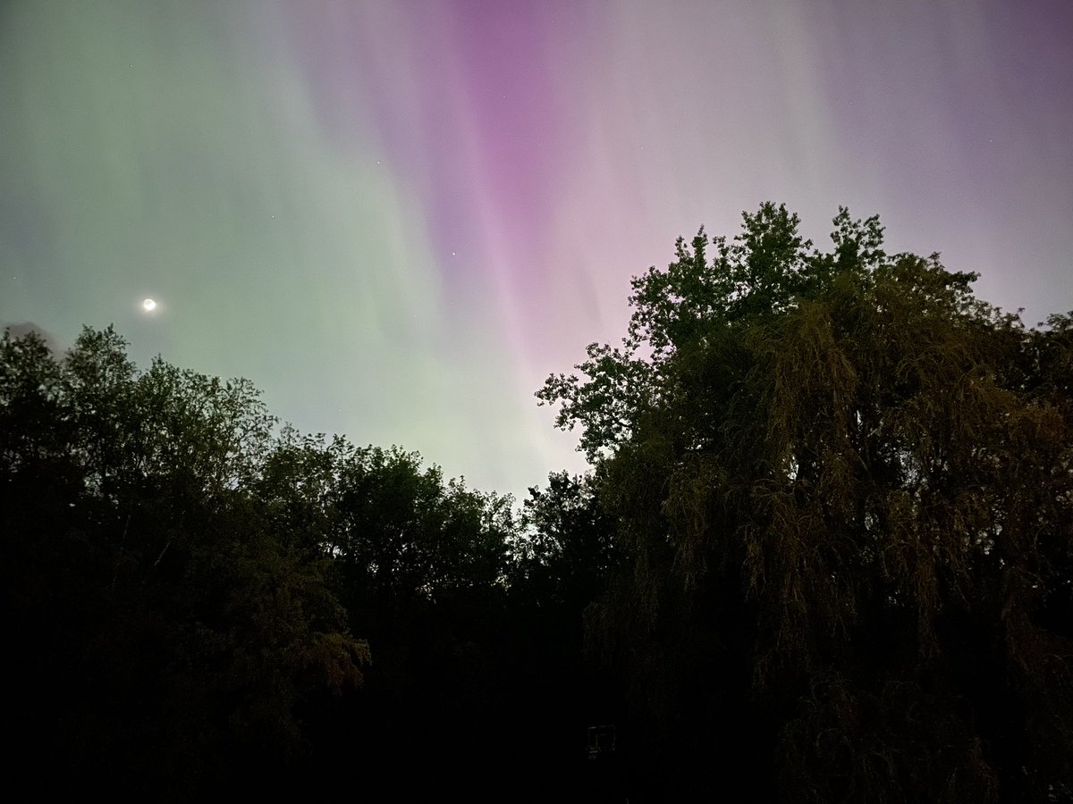From our backyard in Maple Grove, MN. #NorthernLights #mnwx <a href="/NWSTwinCities/">NWS Twin Cities</a>