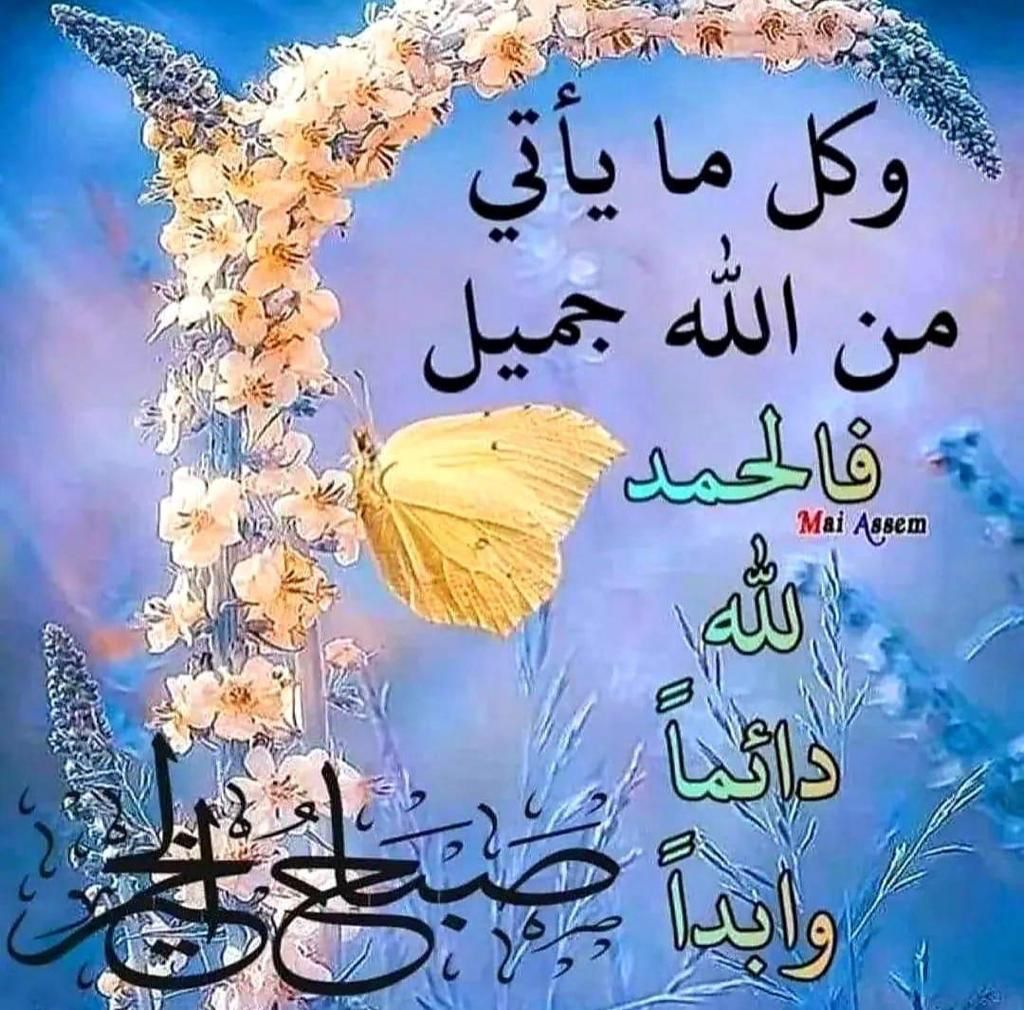 النصر الحميدي tweet media