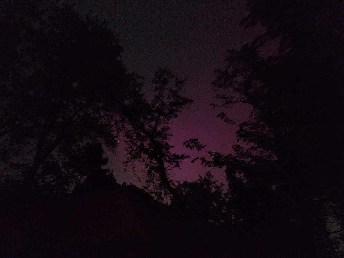sut123's tweet photo. Wow, okay, I did not see this outside, but it was on the camera when I got back inside. Maybe I'll try again in an hour. https://t.co/T9E1Ev73vb