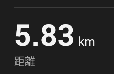 資産はなかなか増えませんが、脂肪は増えがちなので走ってしました！🏃目標の10kmまであと4.2km．少しずつ走れるようになってきた！😆