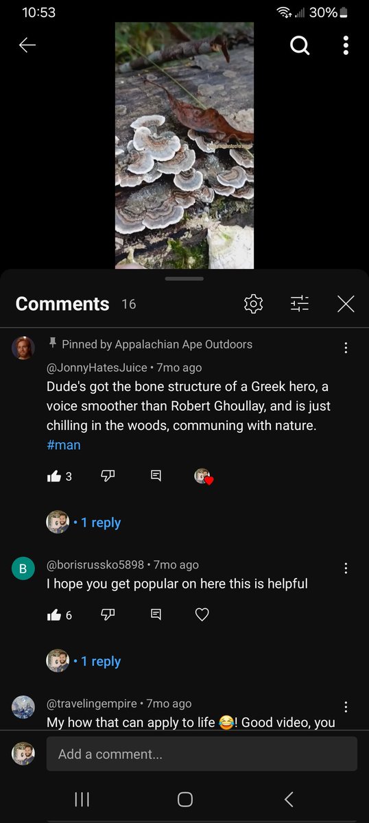 @YouTubeCreators 'Dude's got the bone structure of a Greek hero, a voice smoother than Robert Ghoullay, and is just chilling in the woods, communing with nature. 
#man '

This whole comment section was nothing but love!!
#AppalachianApeForaging
💪🏼🦍💙💛🍄📈🫡
#WestVirginia