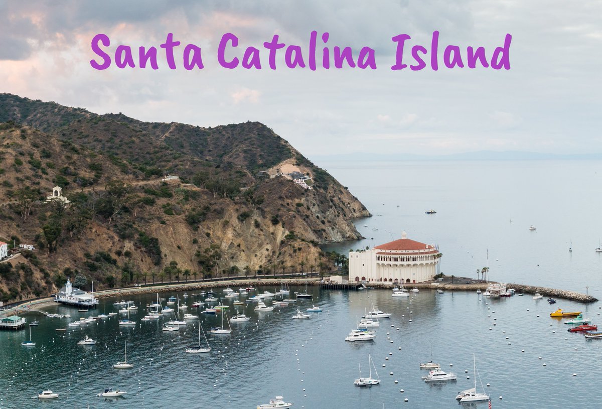 Visited Catalina with family, on a senior trip with friends and solo. It's great no matter how you go... just go. #Catalina #SoloTravel #FreeCollege