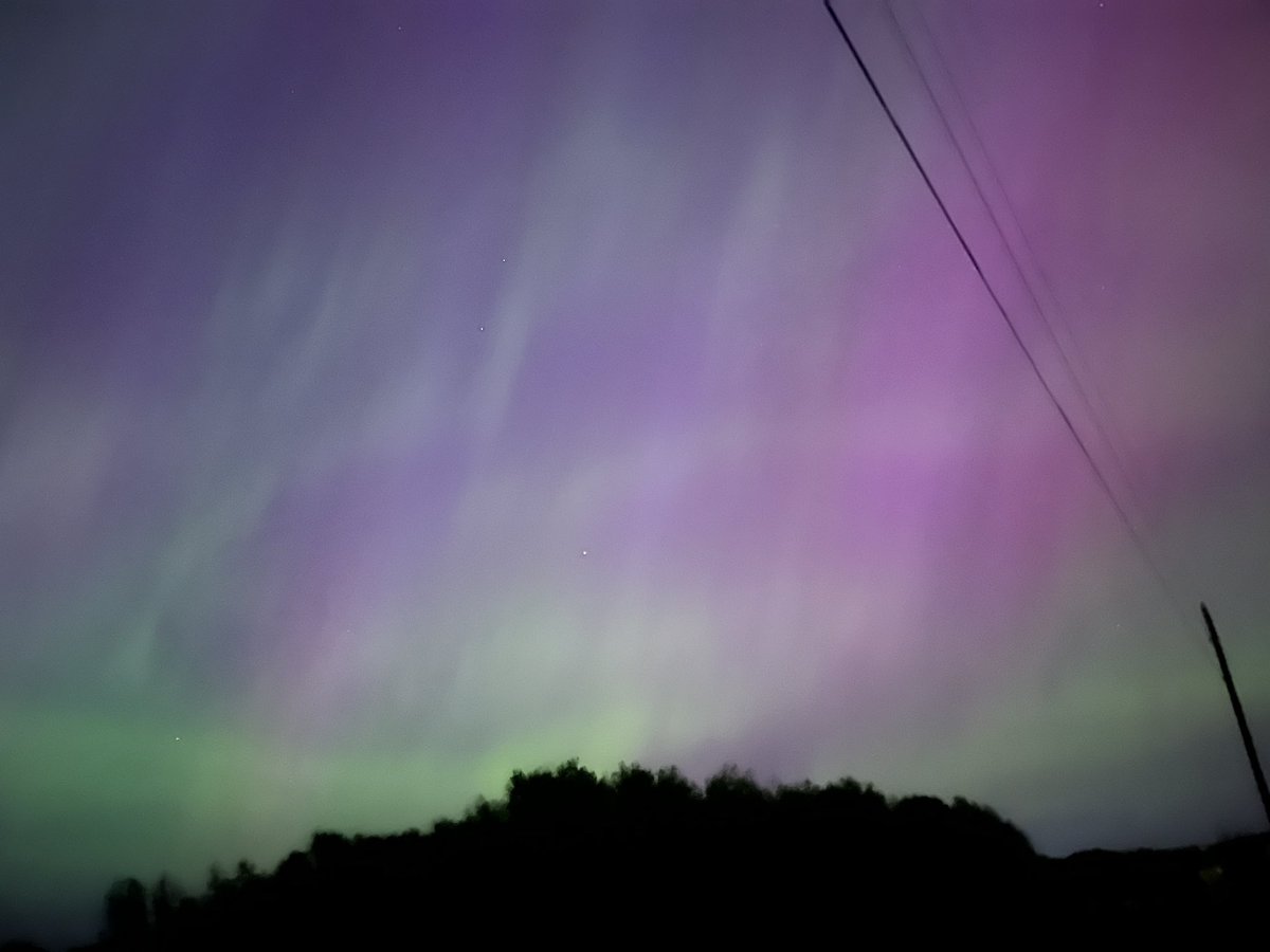 Kara Aley tweet media